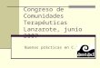 Congreso de Comunidades Terapéuticas Lanzarote, junio 2007 Buenas prácticas en C.T