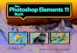 Das Photoshop Elements 11 Buch