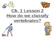 5th Grade Ch. 1 Lesson 2 How do We Classify vertebrates