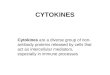 Lecture cytokines