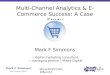 Multi-Channel Analytics & E-Commerce Success: A Case Stufy