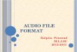 Audio file format