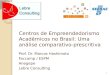 Centros de empreendedorismo acadmicos no brasil