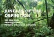 Jungles of the definition - Social Enterprise