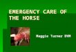 Equine Emergencies by  Dr. Maggie Turner