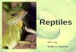 Reptile notes:  Notes on Class Reptilia and Orders Crocodilia, Testudines, Squamata, and Sphenodontia, with visual comparison of venomous snakes in NC