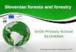 Slovenian forests and forestry