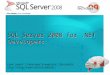 SQL Server 2008 for .NET Developers