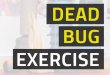 Dead Bug Exercise for Strong Abs & Proper Posture
