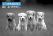Social Media Communities Explained - They're Like Puppies