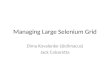 Managing Large Selenium Grid