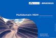 Multidomain MDM at Amadeus