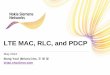 LTE MAC RLC PDCP