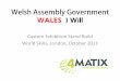Welsh assembly government   world skills