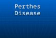 Legg – calve – perthes disease (2)