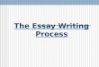 The Essay Writing Process