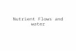 Nutrient flows and water