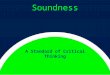Critical Thinking 04 Soundness