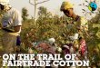 On the Trail of Fairtrade Cotton