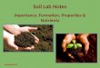 Soil lab guiding questions