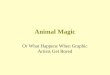 Animal Magic 1