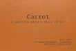 Carrot: An appetizing hybrid of XQuery and XSLT