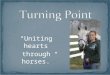 Introduction to Turning Point Stables