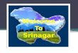Overview of city srinagar