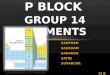 P block group 14