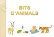 BITS D'ANIMALS