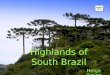 Highlands Of South Brazil