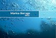 08 S12 Marina Barrage 1
