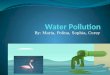 3015 water pollution