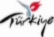 Presentation of turkey (2) (1)