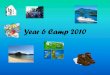 Year 6 Camp 2010