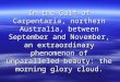 Australian naturalphenomenon gloriamatutina 只有澳洲才有的奇景--雲浪