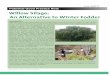 Willow Silage: an Alternative to Winter Fodder (BHGP13 - Potential Good Practice Note)