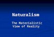 Naturalism Overview