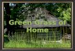 Green grass of home (v.m.)