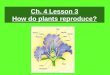5th Grade Ch. 4 Lesson 3 How do Plants Reproduce