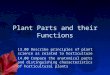 Plant  Parts