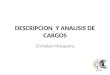 Descripcion  Y Analisis De Cargos