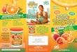 Beyond Tangy Tangerine Citrus Peach Fusion 2.0