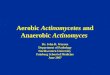 10 aerobic actinomycetes-and_anaerobic_____actinomyces_v1-_3