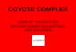 Coyote Complex