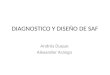 DIAGNOSTICO Y DISEÑO DE SAF Andrés Duque Alexander Arango