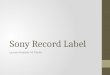 Sony major label study