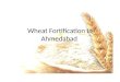 Wheat fortification in ahmedabad