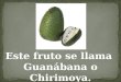 Este fruto se llama Guanábana o Chirimoya.. La Guanábana o la fruta del árbol de Graviola es un producto milagroso para matar las células cancerosas