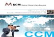 CCM International Ltd - Introduction – Brochure